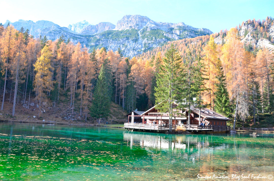 fallcortina1