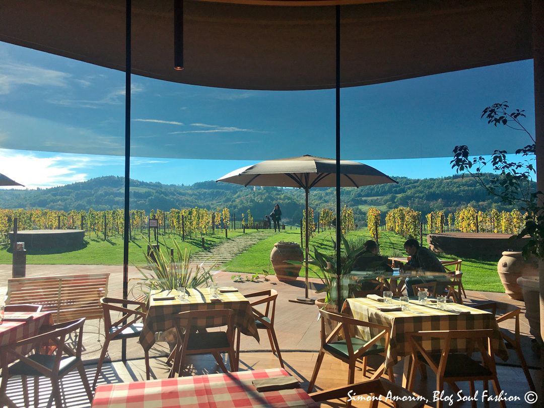 #antinori #chianti #wine #italy #foodandwine