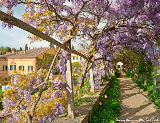 #lafoce #foce #toscana #tuscany #tourism #italy #itália