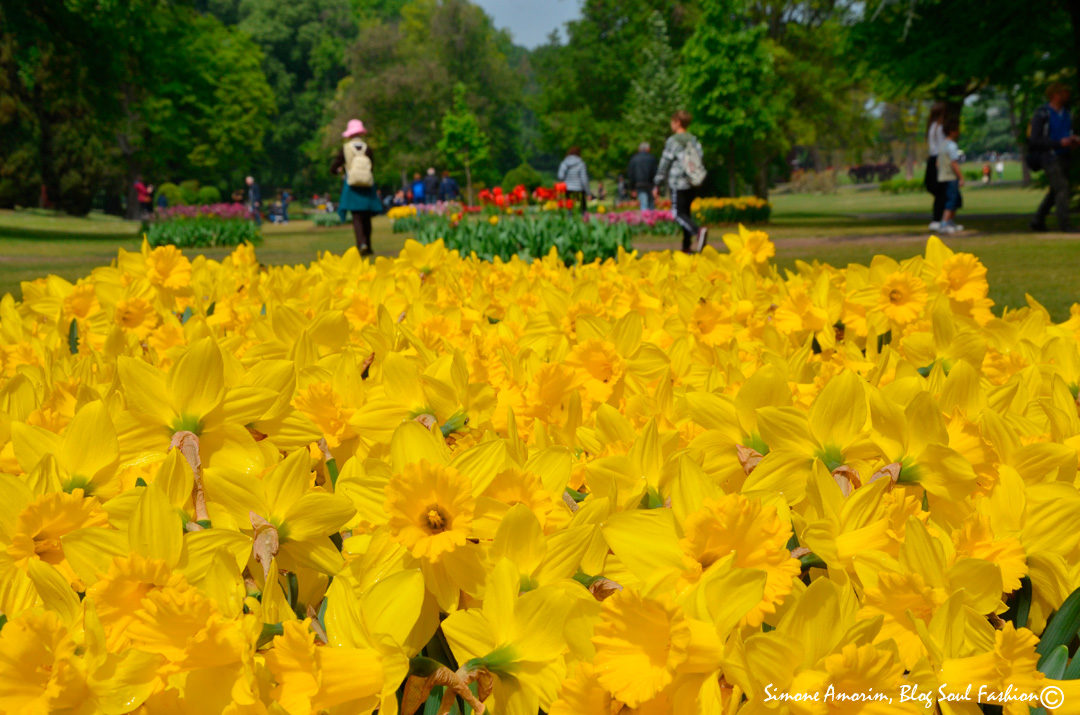 #sigurtà #verona #veneto #gardens #flowers #italy