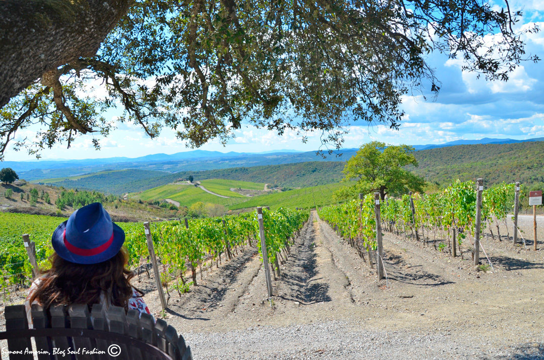 #castigliondelbosco #brunello #montalcino