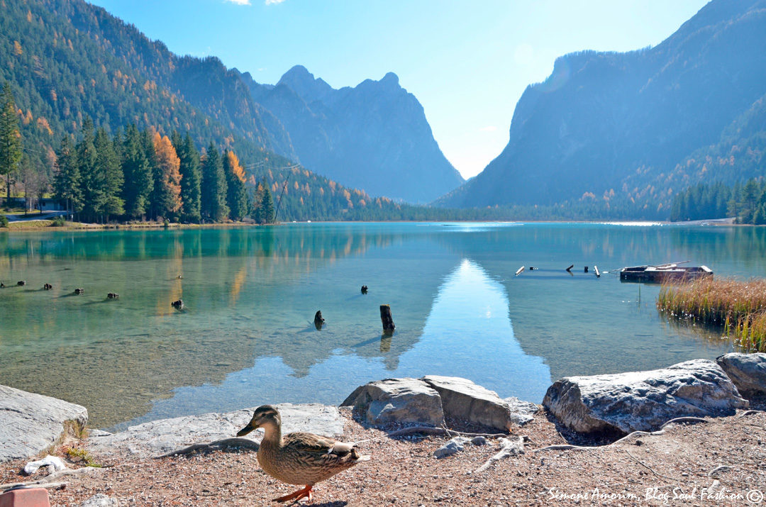 #dobbiaco #dolomitas #dolomites #dolomiti #italy