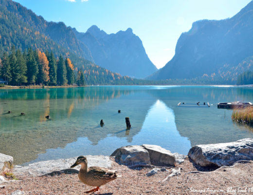 #dobbiaco #dolomitas #dolomites #dolomiti #italy