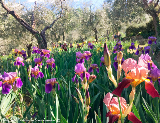 #iris #giardinodelliris #firenze